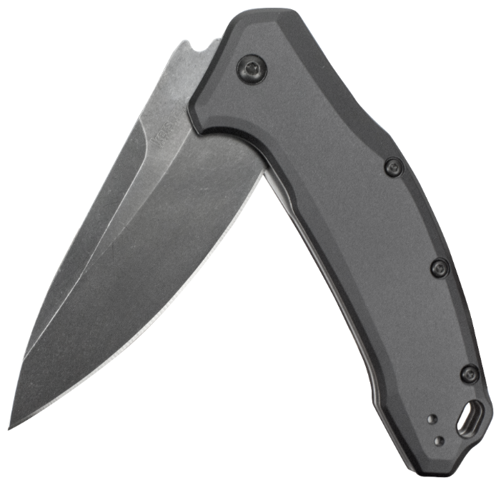 Kershaw link. Нож складной Kershaw link 1776tgrybw. Нож Кершоу линк. Нож Kershaw SPEEDSAFE. Нож складной link Kershaw.