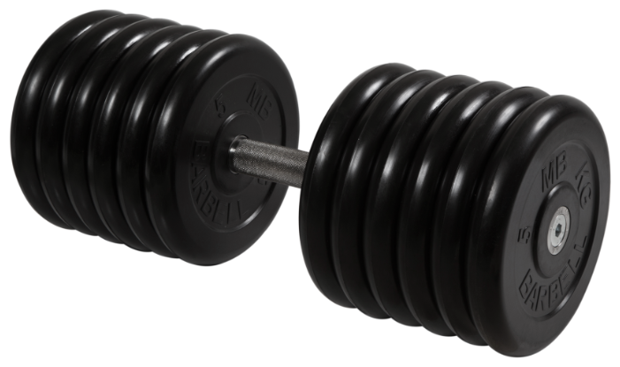 Гантели MB Barbell 39кг