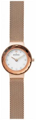 Наручные часы SKAGEN SKW2799