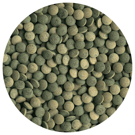 Tetra Pleco. Тетра Pleco Tablets. Корм для сомиков в аквариуме таблетки.